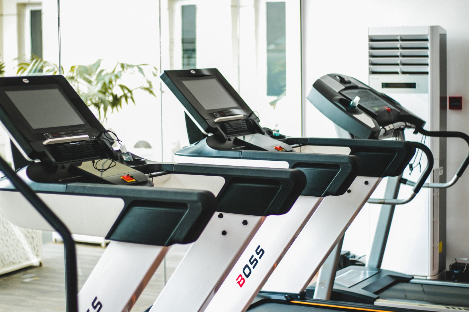 A picture of The Art of Wellness